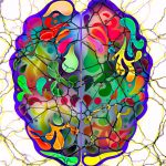 Das Gehirn, Sitz der Hormone